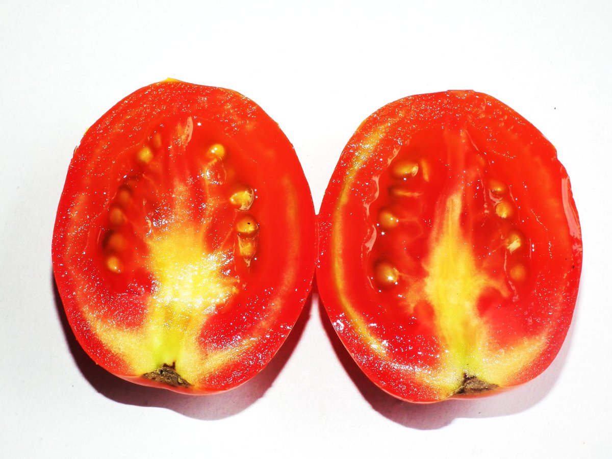 Pomodori tagliati a metà, sezione con semi in evidenza